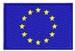 12 STAR FLAGEmbroidery Design
