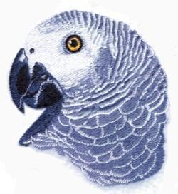 African Grey HeadEmbroidery Design