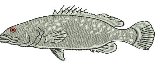 Grouper Embroidery Design
