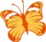 cat freedesigns hover